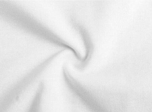 ÁO SƠ MI NAM TRƠN HOLLISTER