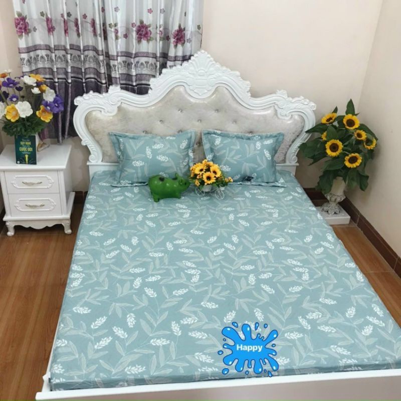 Sét 3 món ga và 2 vỏ gối 100% cotton