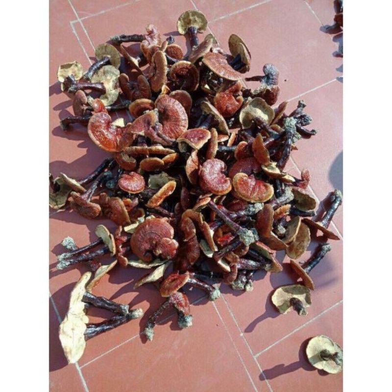 1kg nấm lim xanh