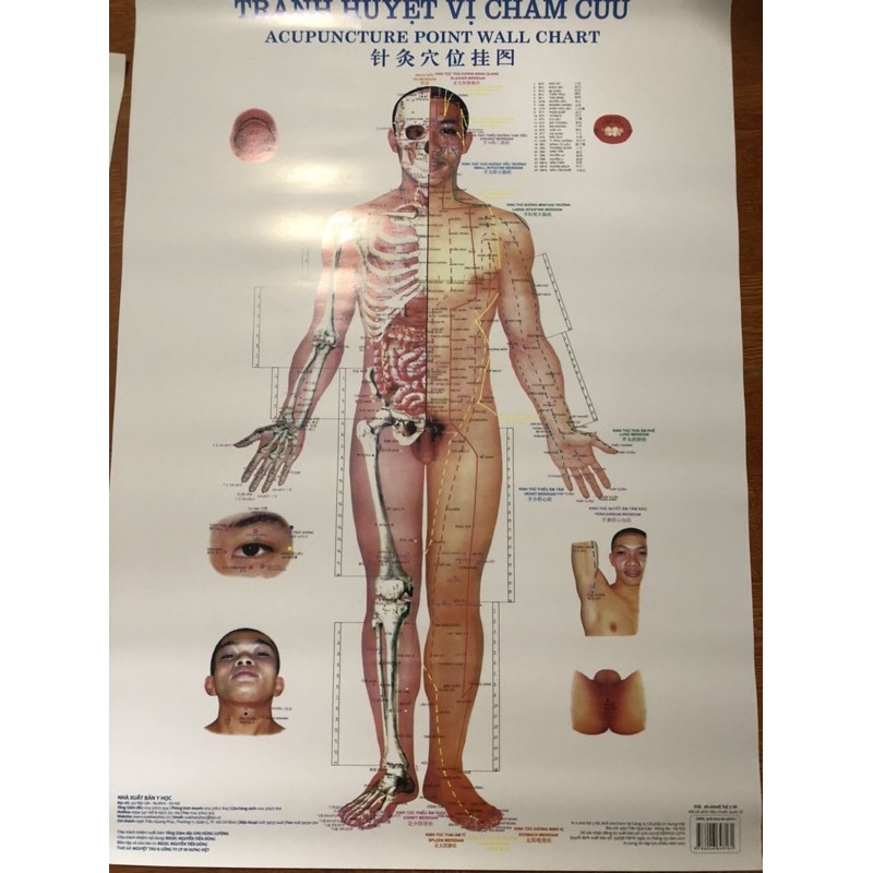 Bộ tranh châm cứu 3 tờ kích thước 50x70cm