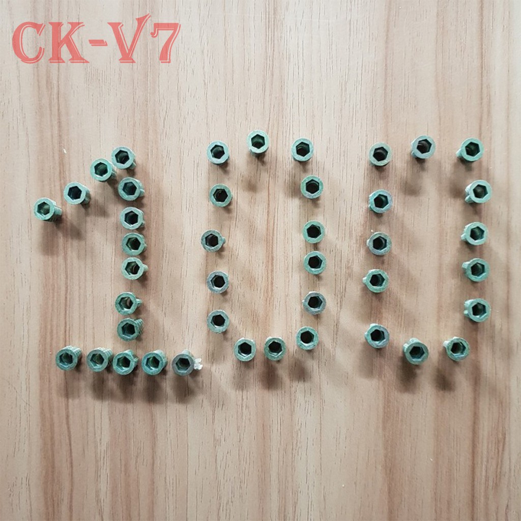 Túi ốc cấy gỗ phi 6 - 100 con