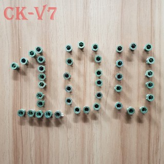 Túi ốc cấy gỗ phi 6 - 100 con