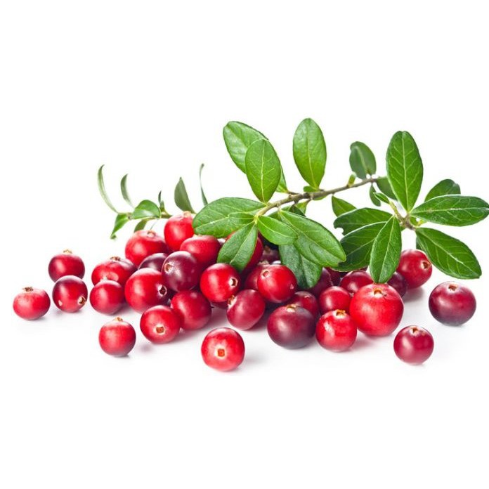 Nam việt quất sây khô Only Nature 450g/túi (Cranberries)