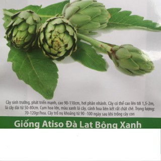 Hạt Giống Atiso Đà Lạt Bông Xanh 2gr