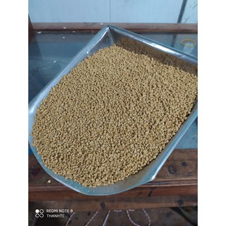 Cám gà con mới nở VINA257 - 1kg