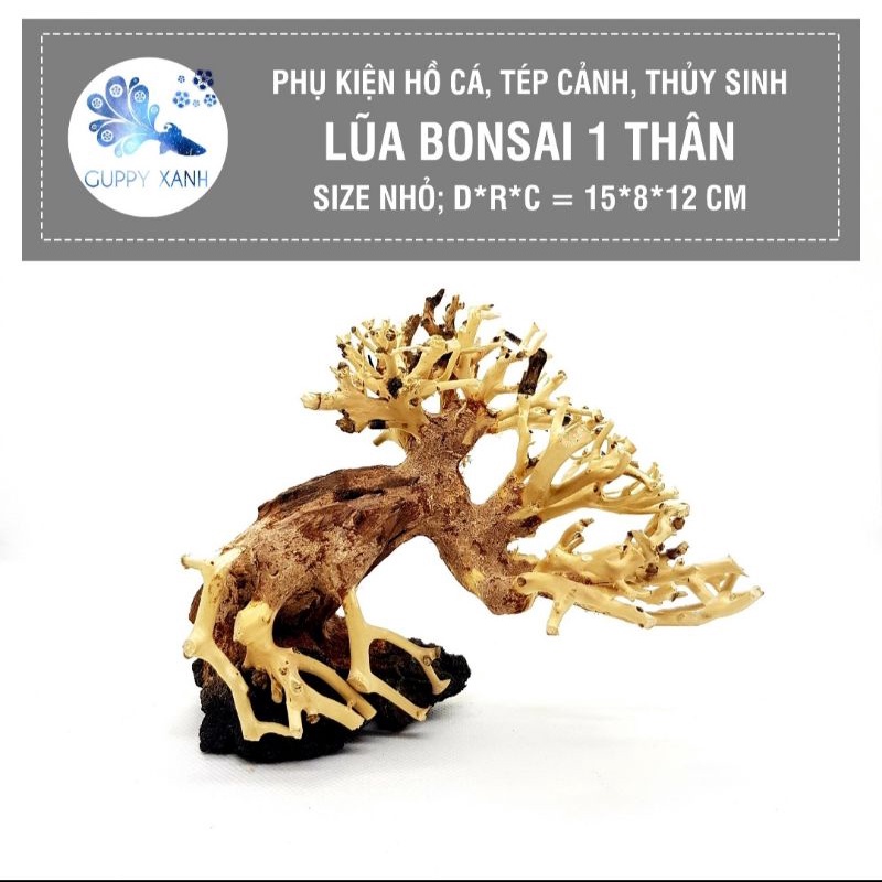 lũa bonsai cho hồ thủy sinh - có nhiều mẫu và dang cho việc set up hồ thủy sinh