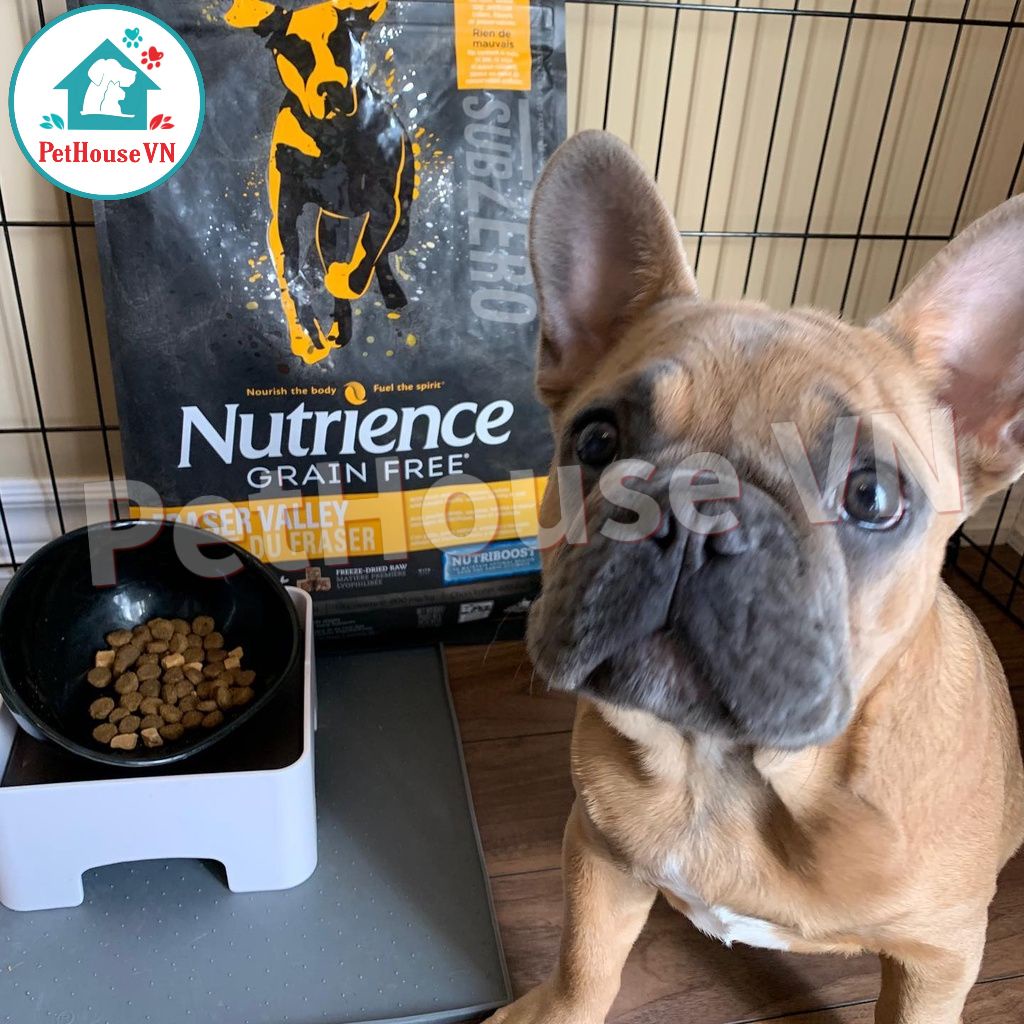 NUTRIENCE SUBZERO DOG - Túi 500G Thức Ăn Hạt Cho Chó Vị Gà Tây, Cá Hồi & Rau Củ Quả Hàng Chính Hãng