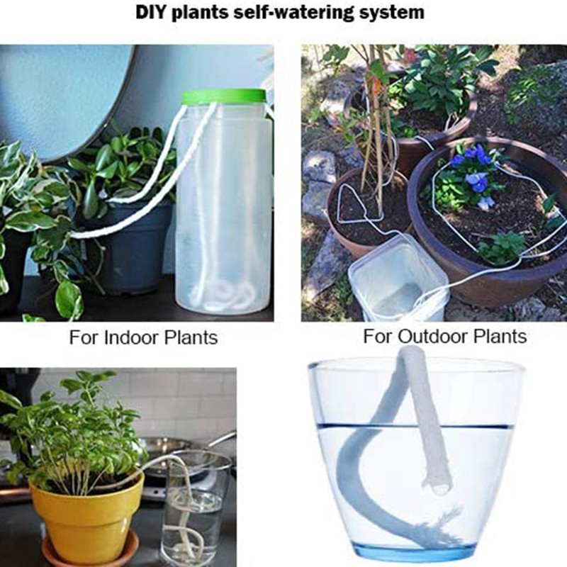 Dây Bấc Tự Tưới Nước Cho Cây Cảnh