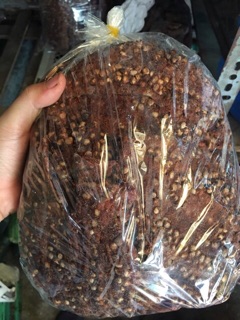 Chuối hột khô miếng