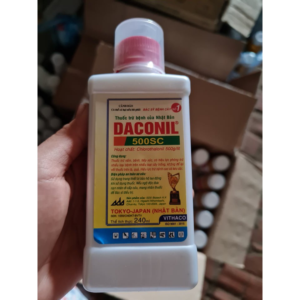 Thuốc phòng và trừ bệnh sẹo, đốm, thán thư DACONIL 500SC