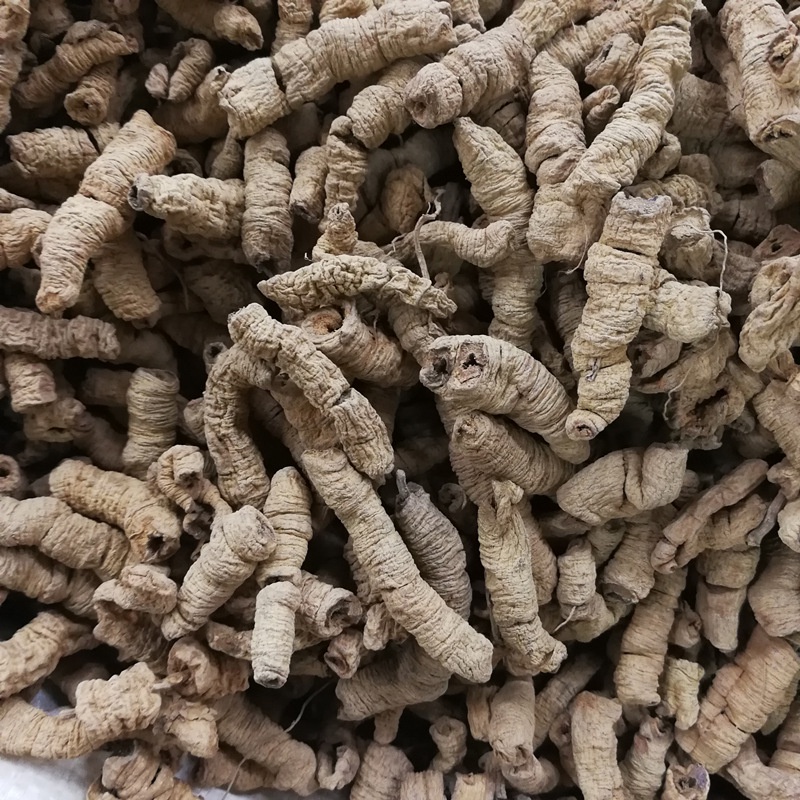 Ba kích tím khô gói 0.5kg hàng loại 1