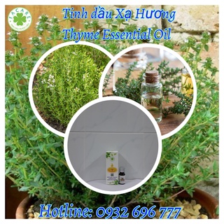Tinh dầu xạ hương thyme essential oil - 10ml