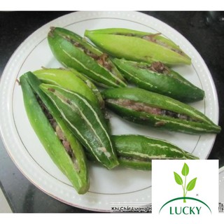 2g hạt giống khổ qua tây lặc lày thanhhuong