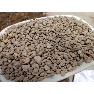 1 lít đá Pumice trồng sen đá, xương rồng, cây cảnh