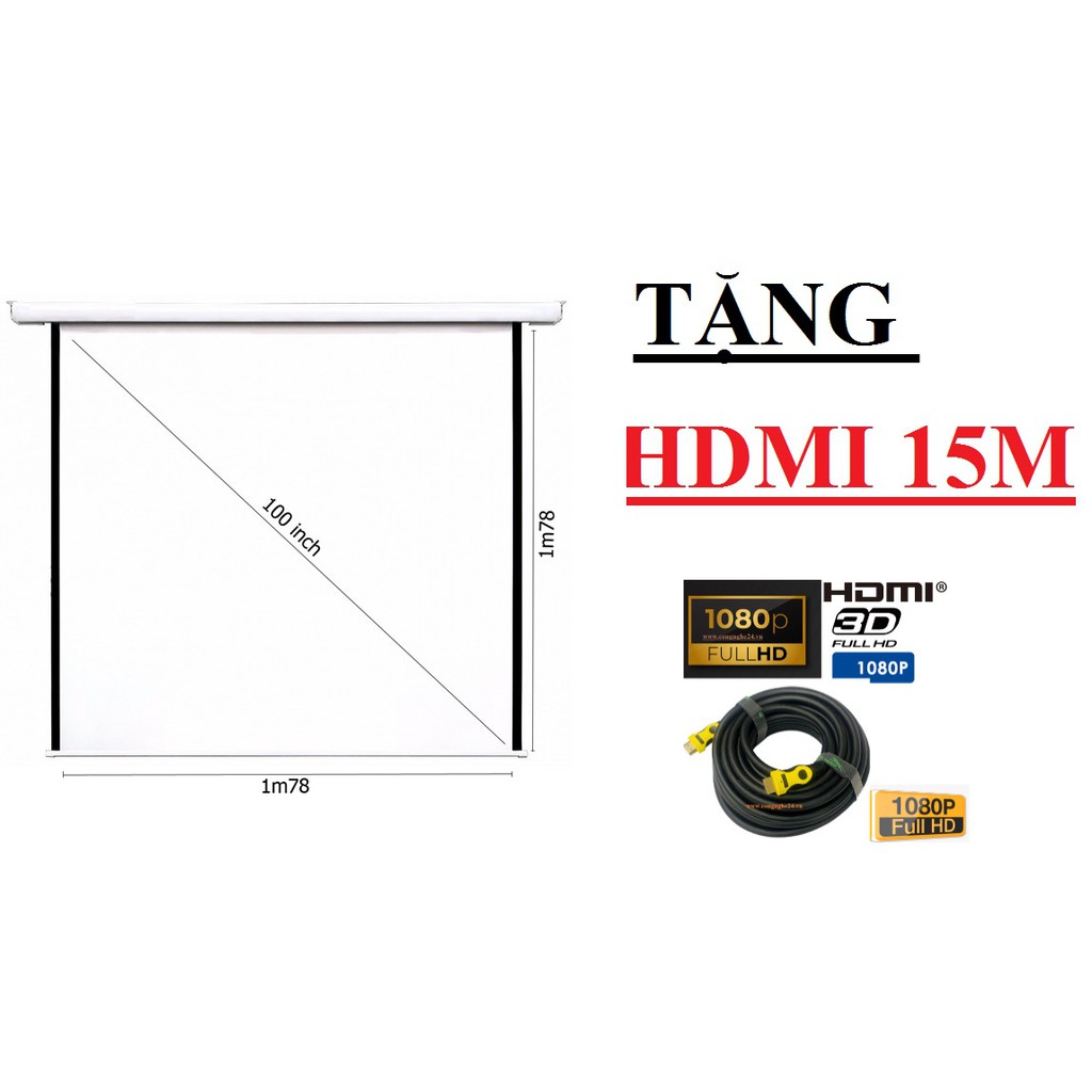 Màn chiếu điện kích thước từ 120inch Dalite Kích Thước Cao 2,13m  Ngang 2,13m