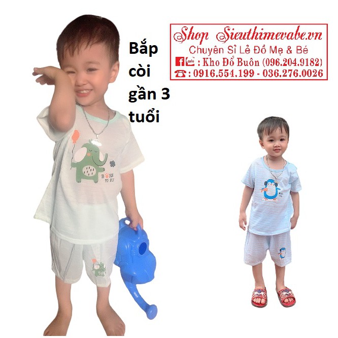 Bộ quần áo Unchi / Noubaby cộc tay cổ tròn chất đẹp