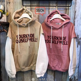 Áo khoác Hoodie 17( nỉ )