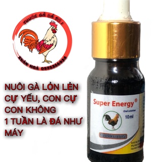 Dùng cho Gà lỏn lẻn, không cự, nhát đá chỉ sau 2-3 lần dùng