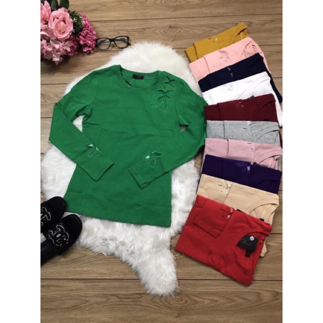 Áo thun cổ tròn tay dài đẹp y hình