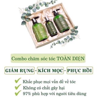 COMBO DẦU GỘI BƯỞI VIJULLY