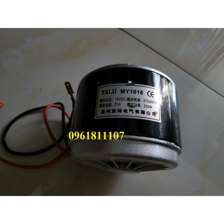 Động cơ 12V 300W