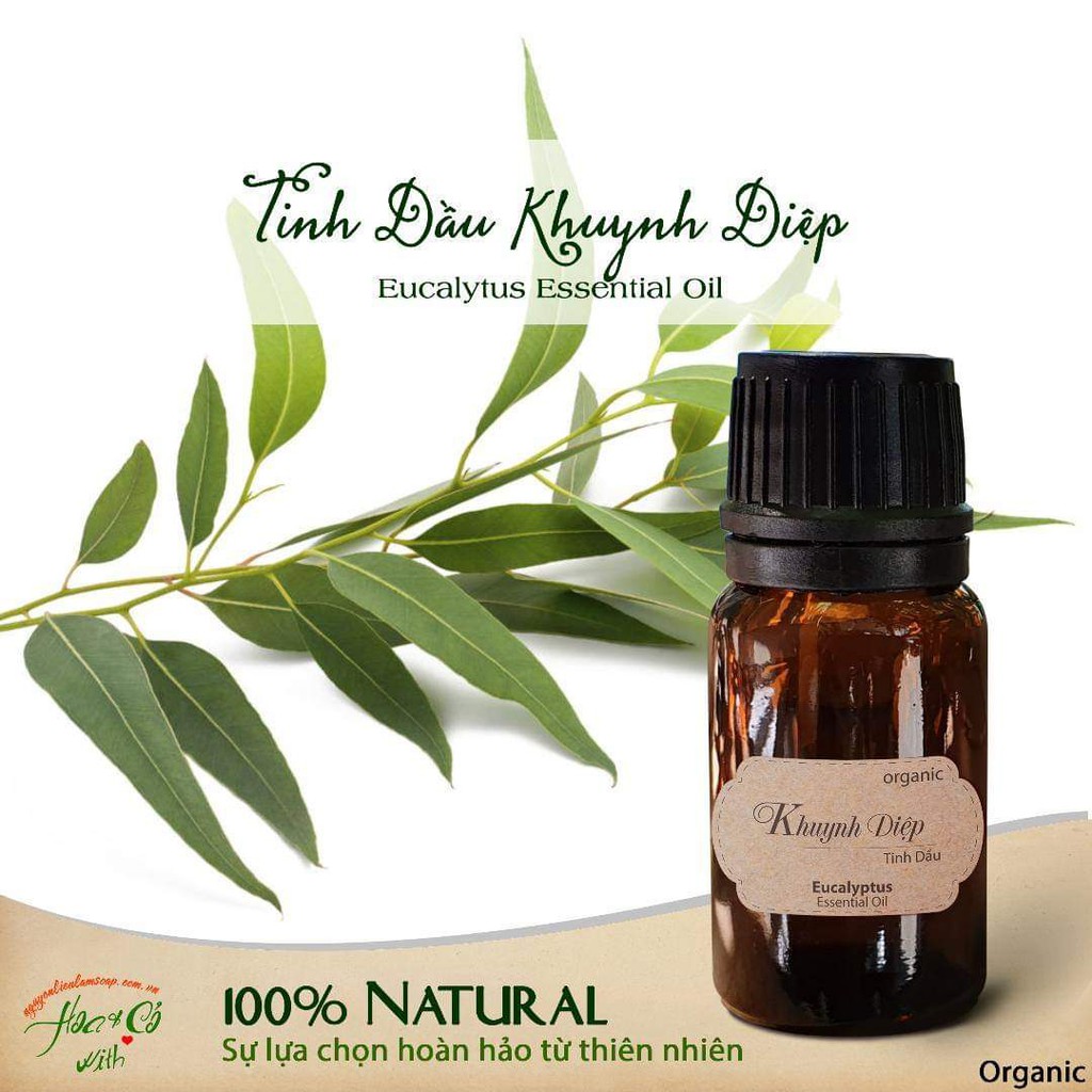 Tinh Dầu Khuynh Diệp ( Eucalyptus Essential Oil )