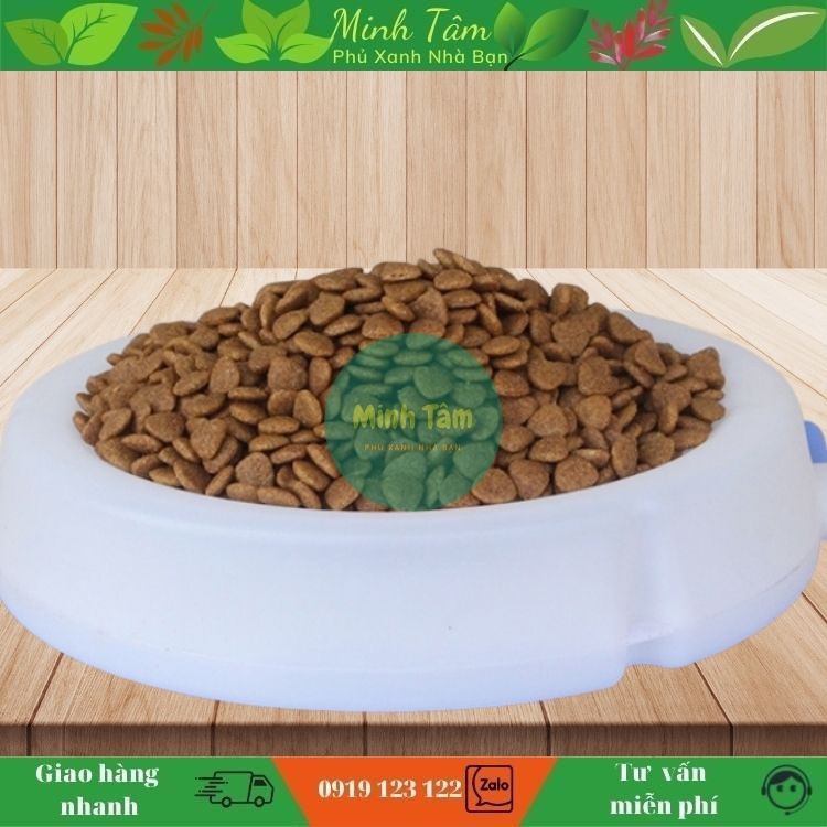 Thức ăn cho mèo CATSRANG Hàn Quốc 5kg New