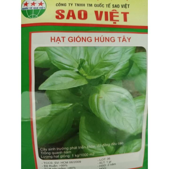 Hạt giống rau húng tây