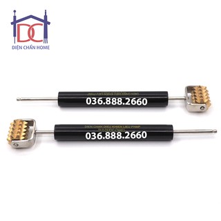 Cây lăn dò đồng gai Diện Chẩn
