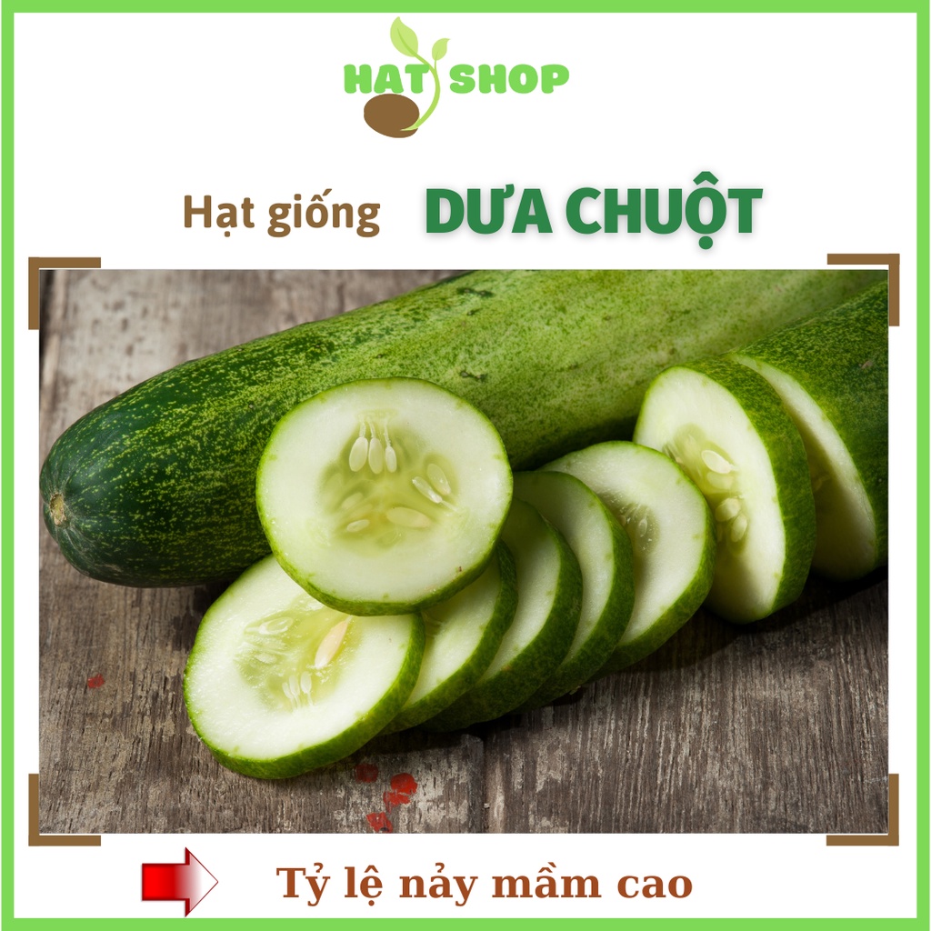 Hạt Giống Dưa Chuột Dưa Leo Trang Nông-Dưa leo F1 TN 695- HẠT SHOP