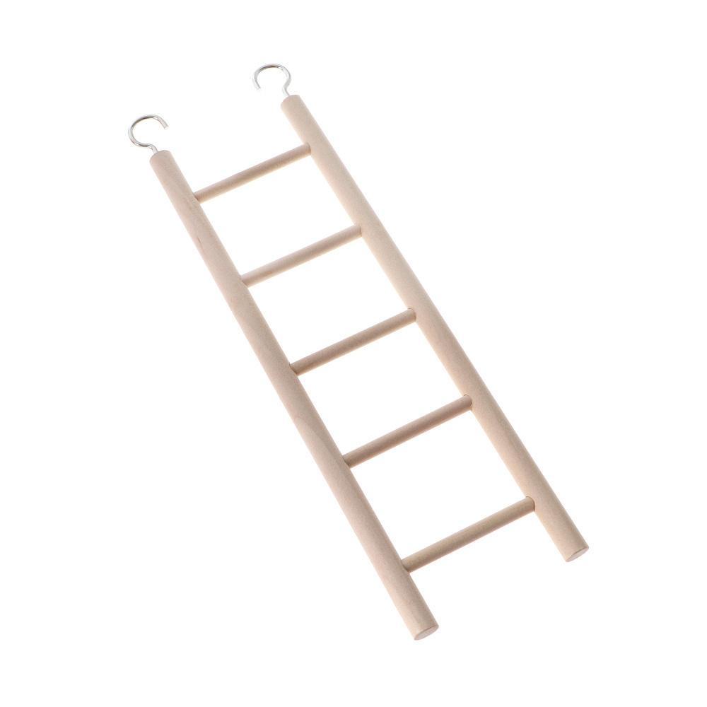 Thang Leo Bằng Giấy Chuyên Dụng Cho Chim Cảnh