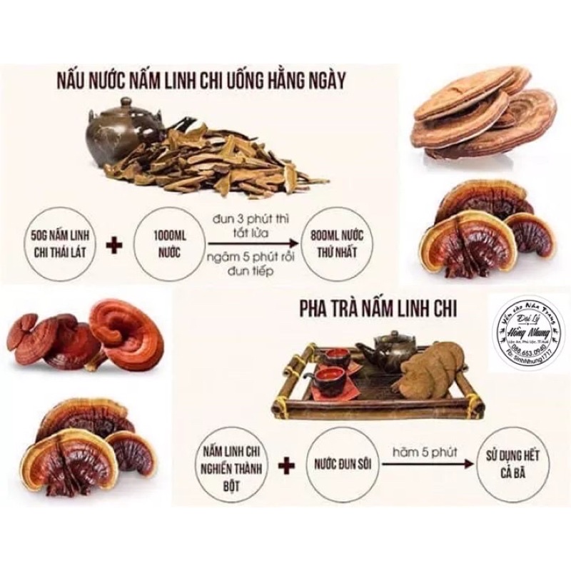Nấm linh chi chuẩn rừng 1 kg