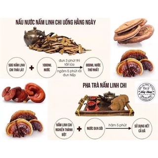 Nấm linh chi chuẩn rừng 1 kg