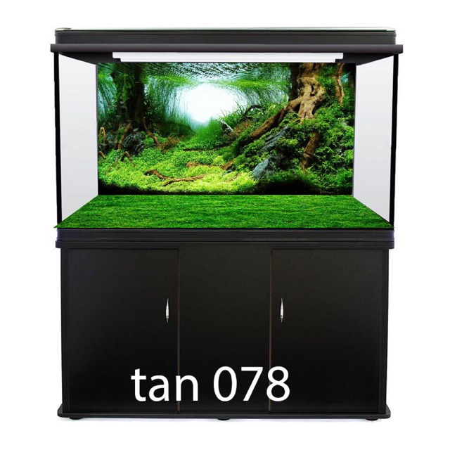 Tranh hồ cá 3D đẹp - Nhiều kích thước, Nhiều mẫu