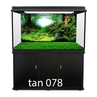 Tranh hồ cá 3D đẹp - Nhiều kích thước, Nhiều mẫu