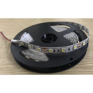 Led dây SMD5050, cuộn 5m 12Vdc (No Water Proof)