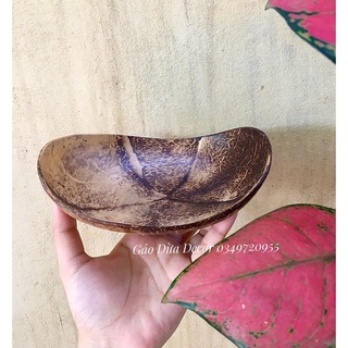 Đĩa Gáo Dừa Ovan Decor Food