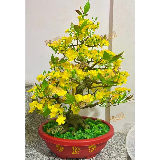 CÂY MAI GIẢ 90CM DÁNG BONSAI HÀNG ĐẸP NHƯ HÌNH