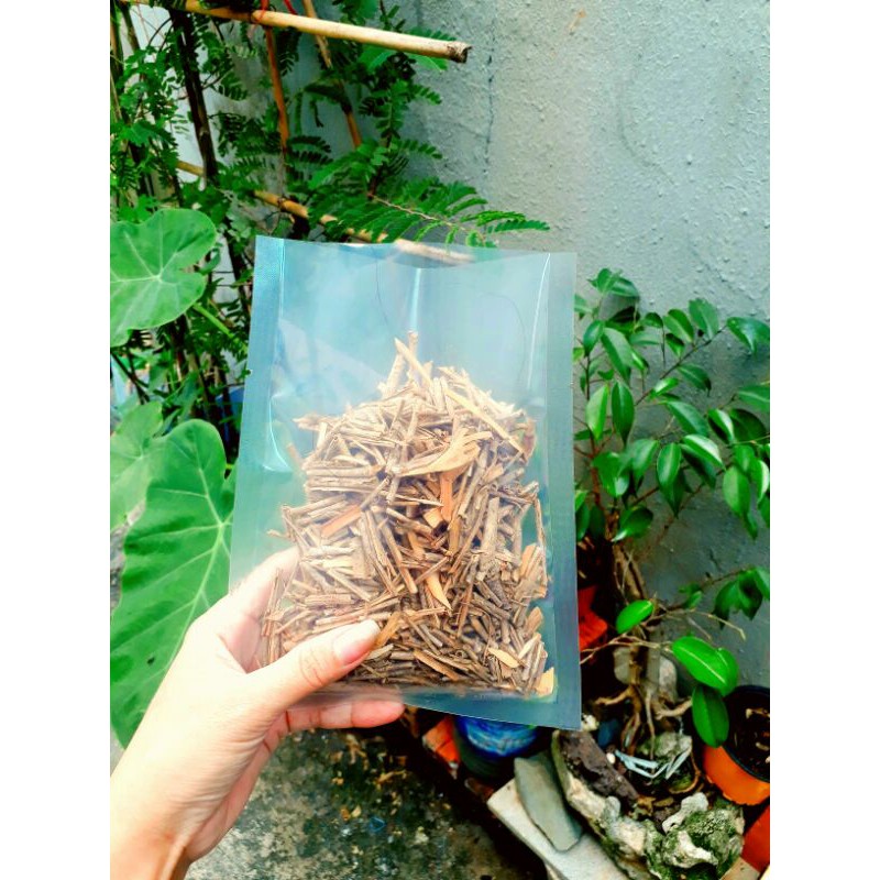 Ngũ gia bì thảo mộc thiên nhiên đã sao thơm