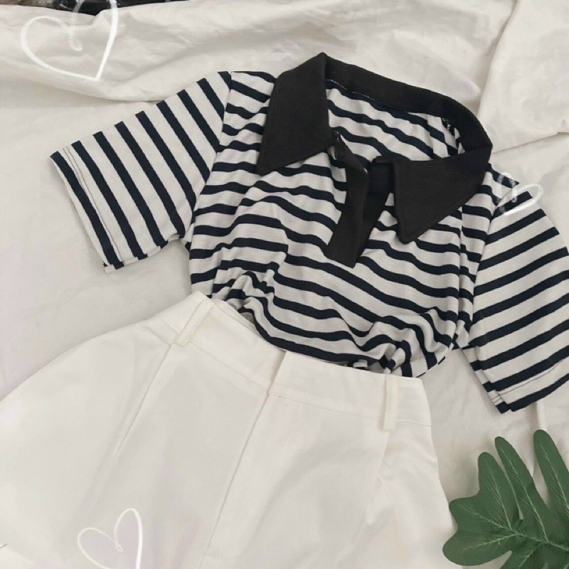 Set áo thun + quần ngố kaki