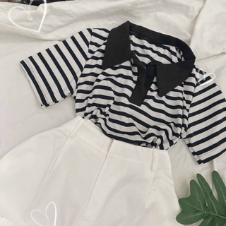 Set áo thun + quần ngố kaki