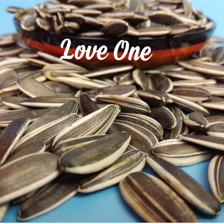 100g Hướng Dương Hạt To Giàu Dinh Dưỡng Cho Hamster-Rat-Đuôi Mập