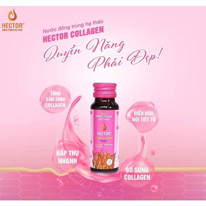 Nước đông trùng hạ thảo HECTOR COLLAGEN, nước hector collagen trẻ hoá làn da, 1 chai 50ml