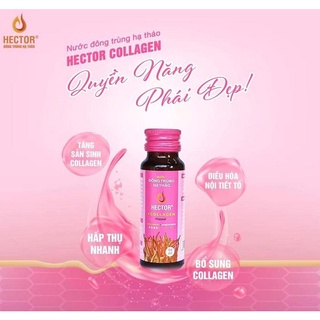 Hector collagen đông trùng hạ thảo