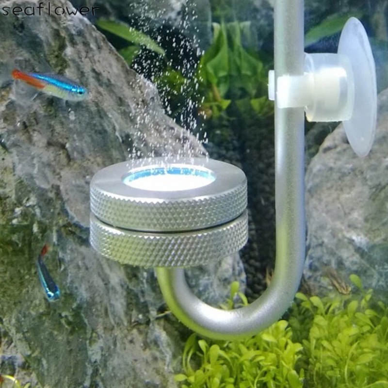 Hệ thống tạo khí CO2 cho bể cá thủy sinh