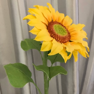 Hoa hướng dương bông lớn cành ngắn đất sét