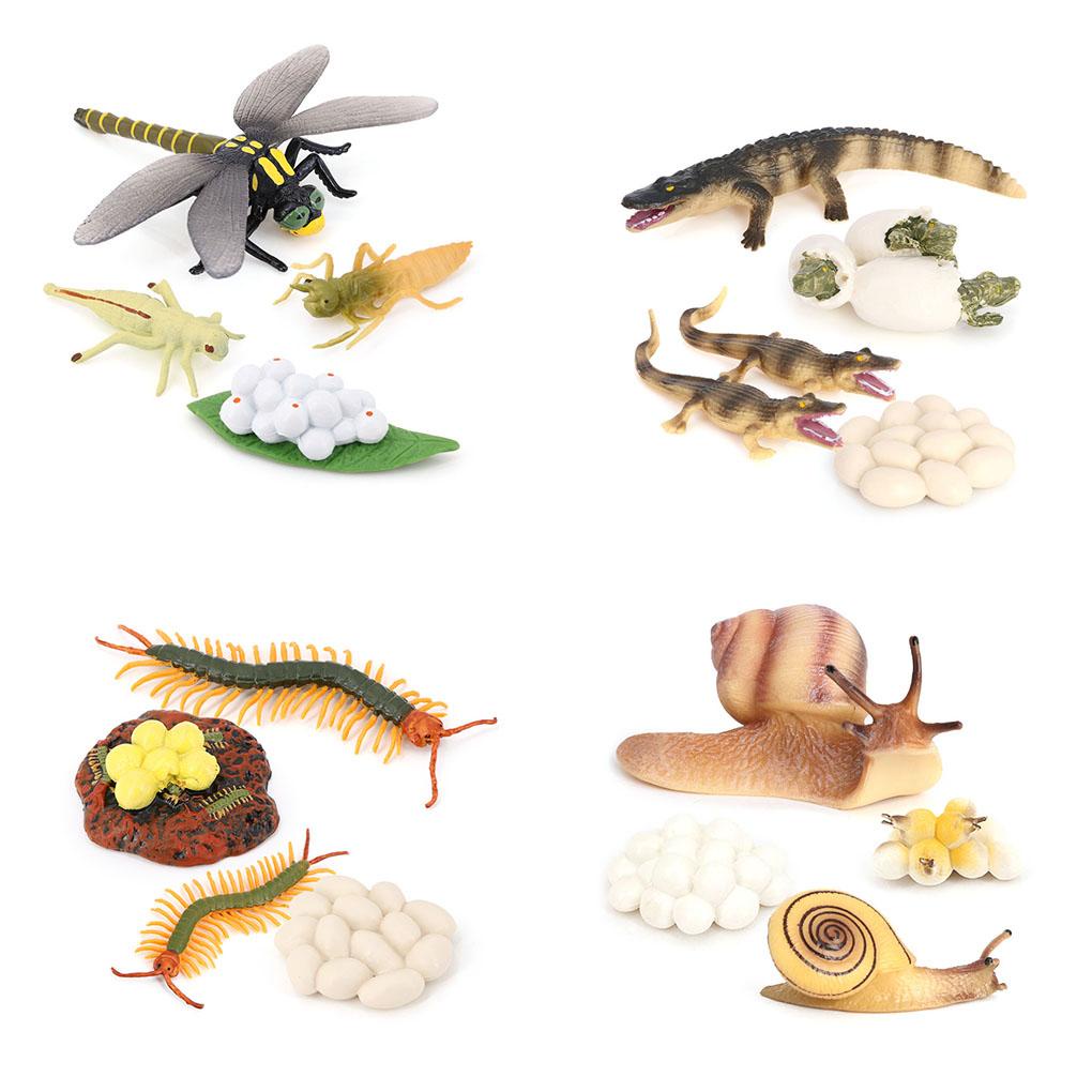 1 Bộ Mô Hình Động Vật Đồ Chơi Giáo Dục Cho Bé