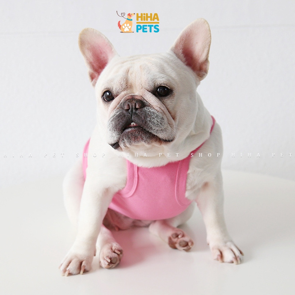 Áo Thun Cho Chó Lớn, Quần Áo Thú Cưng Size To Cho Chó Pug Mặt Xệ Và Các Giống Chó Lớn