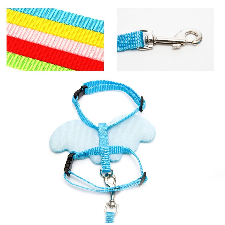 Dây Dắt Thú Cưng Đi Dạo Hình Đôi Cánh Thiên Thần Thoáng Khí 27Pets