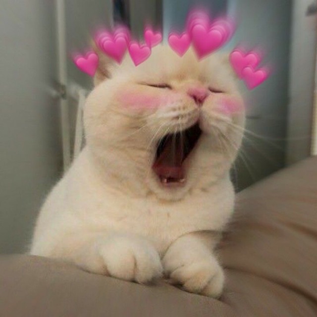 BALO/BACKPACK BANAWA COND 9,5